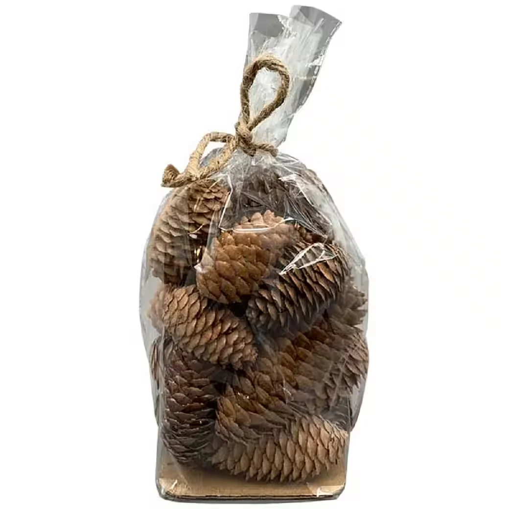 Dekoobjekt Zapfen „Aride“ – Natur